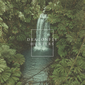 Dragonfly Hunters