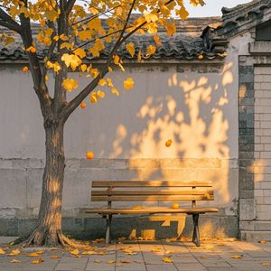 梧桐旧影