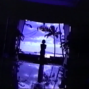 海洋生物