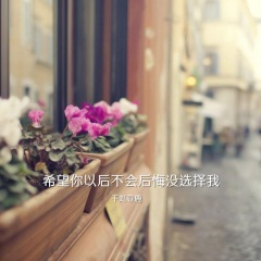 希望你以后不会后悔没选择我