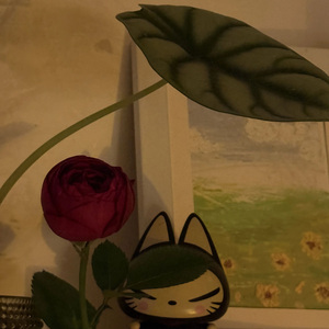 Soygumiz我们的爱