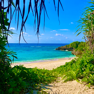 出口（0530） 伴奏