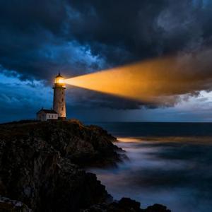 Your Safe Harbor