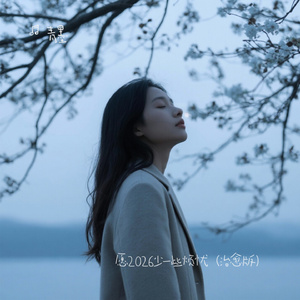 愿2026少一些烦忧（治愈版）