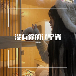 没有你的辽宁省