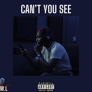 Can't You See