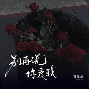 别再说你爱我