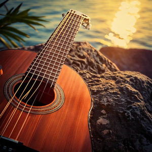 Acoustic Guitar Serenity