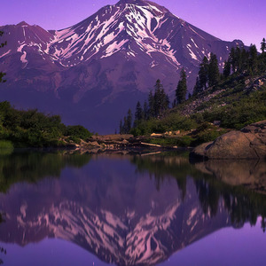Mamut