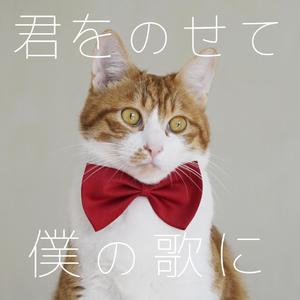 僕の歌に君をのせて/你被写在我的歌里 日文版（feat.拉粑粑）