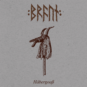 Håbergoaß