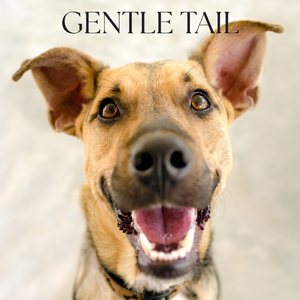 Gentle Tail