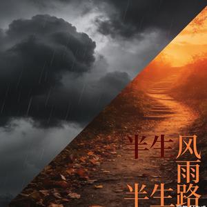 你为什么负我不负他