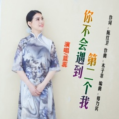 你不会遇到第二个我. (DJ伟然版)