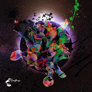 Paqueta - Sumpfkrücke