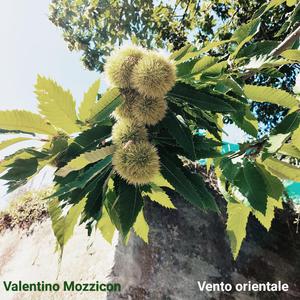 La foresta del risveglio