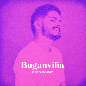 Buganvilia