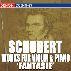 Fantasie in C Major, D. 934: III. Andantino