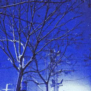 思欲 [Prod.RoyalBoyBrazy]