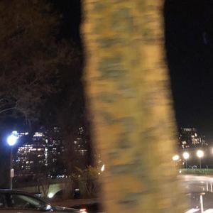 the sky is searching