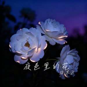夜色里的花