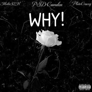 WHY! (feat. Multiszn & PlutoCraxy)