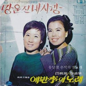 밤비