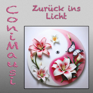 Zurück ins Licht