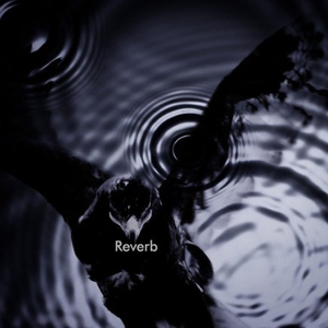 Reverb