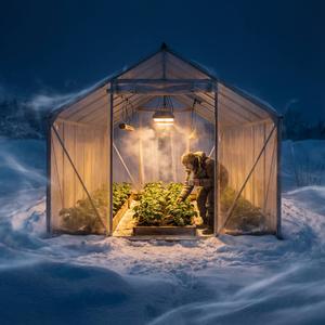 영하 십칠 도, 온실의 노래