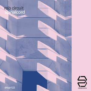 Spinalcord (Nervous System Edit)