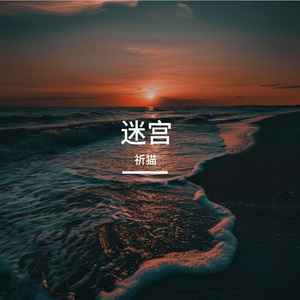 《信号迷宫》