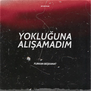 Yokluğuna Alışamadım
