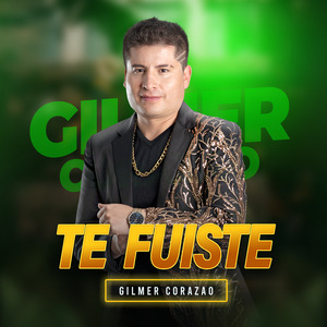 Te Fuiste