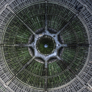 Badman Ting (Live in Houston, Nov. 2020)