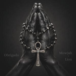 Obrigado (feat. Lion)