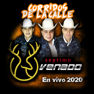 La Plebada del 09 - En Vivo