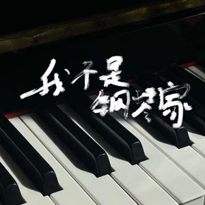 我不是钢琴家