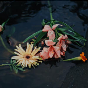 云游的幻想家（DEMO）