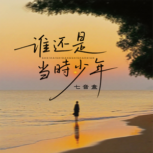 谁还是当时少年(伴奏)