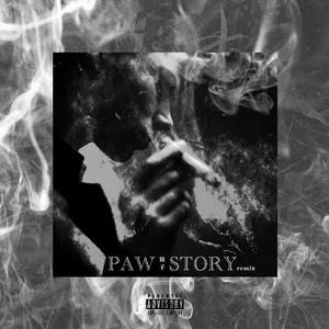PAW Story Remix