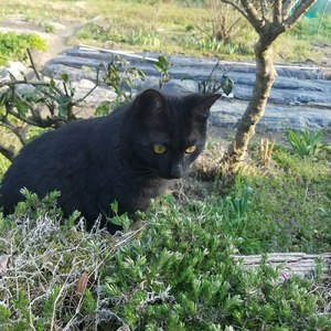 ファミリーマート入店チャイム (Cover)