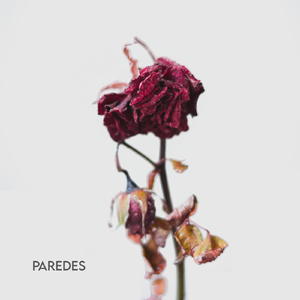 Paredes
