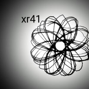 xr41 (phugoid cycle)