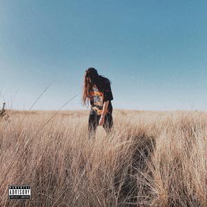 Wild West (feat. B00sted)