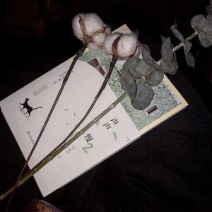 天外来物（翻自 丁同学sneakers）