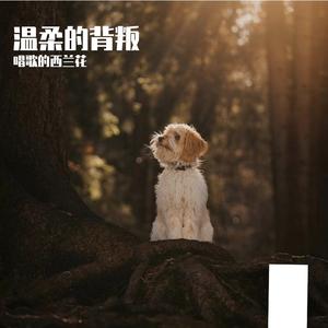 温柔的背叛
