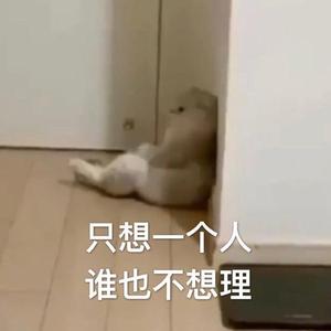 醒着醉（女版）