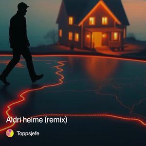 Aldri heime mix