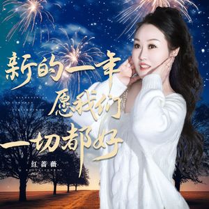 新的一年愿我们一切都好